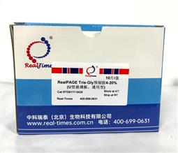 15%RealPAGE Tris-Glycine預制膠（塑料板） 15孔