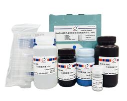 RealPAGE 彩色PAGE凝膠快速制備試劑盒（一步法）15%