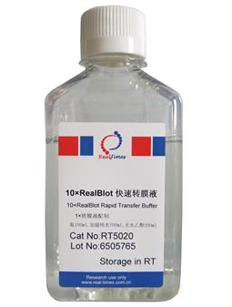 10×RealBlot快速轉膜液