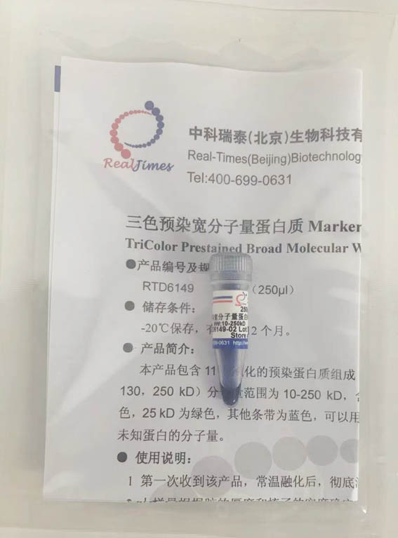 三色預染寬分子量蛋白Marker II(10-250 kD)